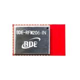 BDE-RFM206-IN-915
